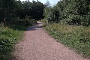 New Lount Nature Reserve image