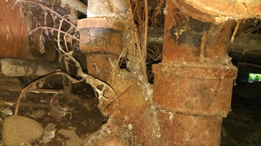 Home Improvement Store «Pierson Building Center», reviews and photos, 4100 Broadway St, Eureka, CA 95503, USA