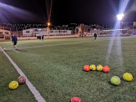 Cancha Sintetica La Vicentina