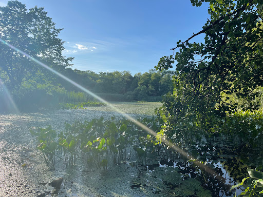 Park «Friends of Van Cortlandt Park», reviews and photos, 80 Van Cortlandt Park S, Bronx, NY 10463, USA