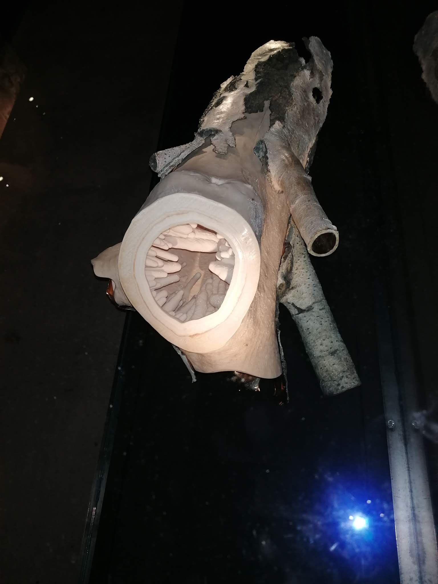 Photo n° 10 de l'avis de Hanitra.O fait le 09/06/2020 à 18:11