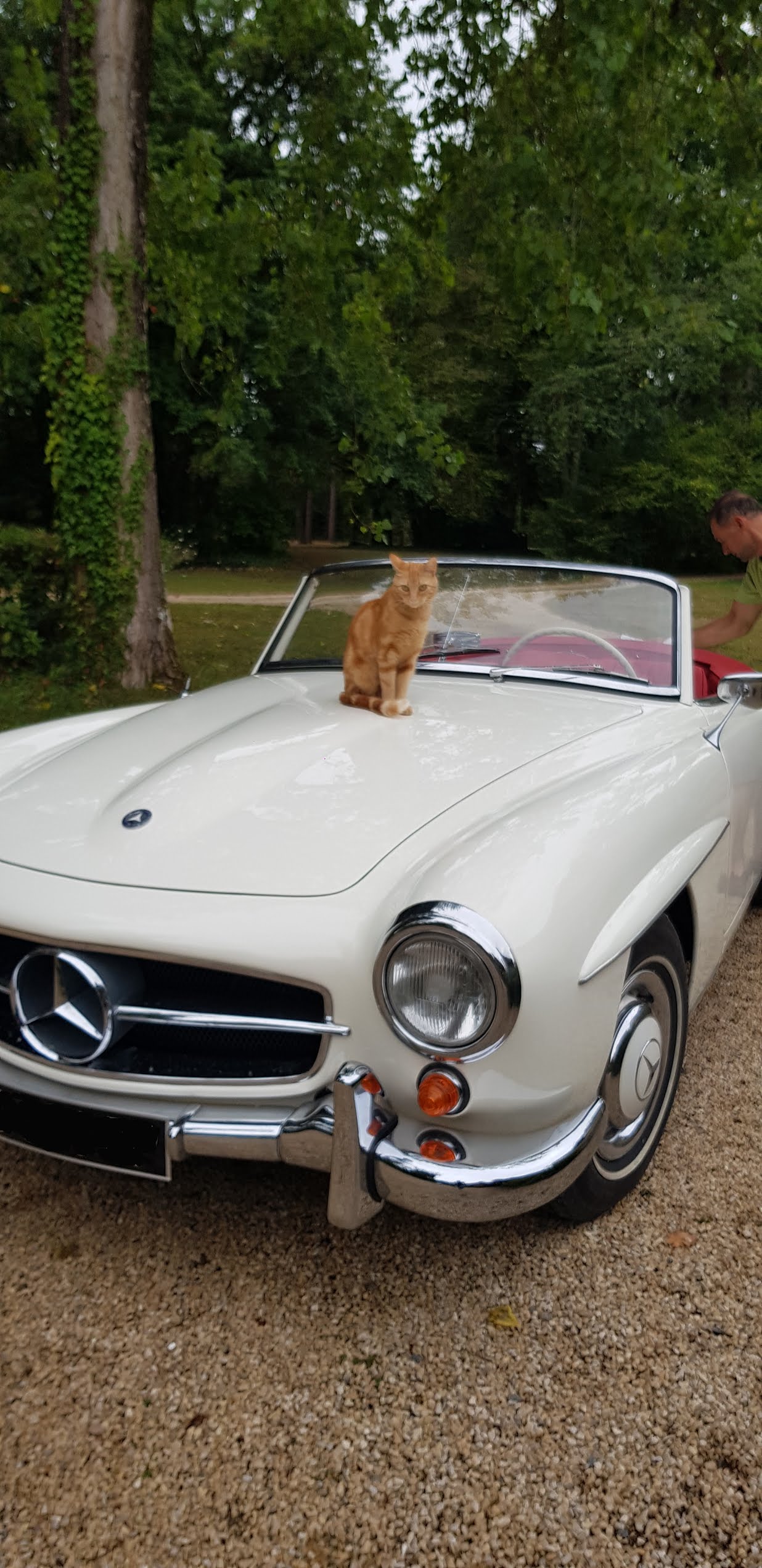 Photo n° 1 de l'avis de H. fait le 19/07/2019 à 11:36