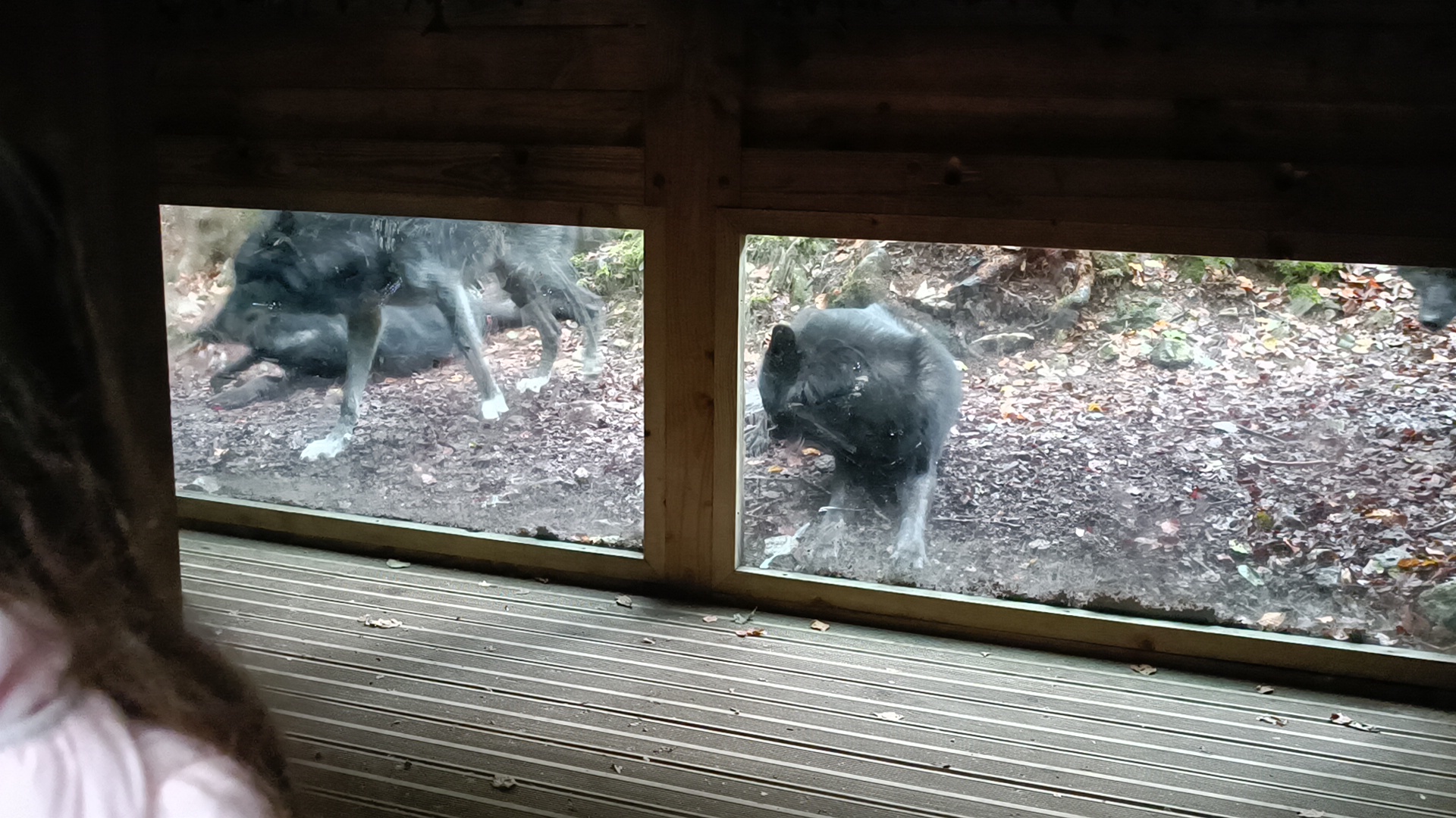 Photo n° 1 de l'avis de Elisa.a fait le 27/10/2023 à 14:37
