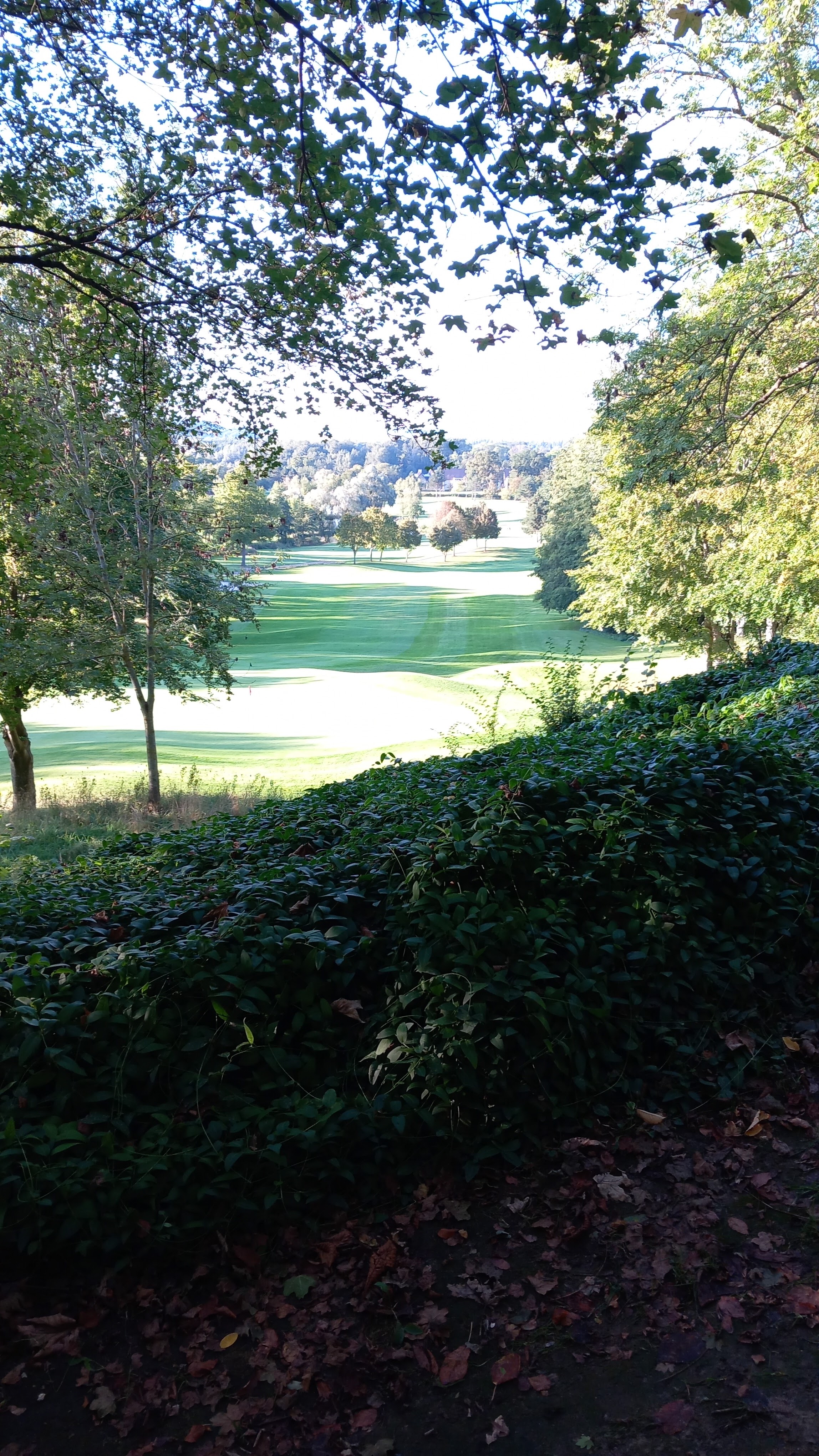 Photo n° 1 de l'avis de C. fait le 25/09/2023 à 13:20