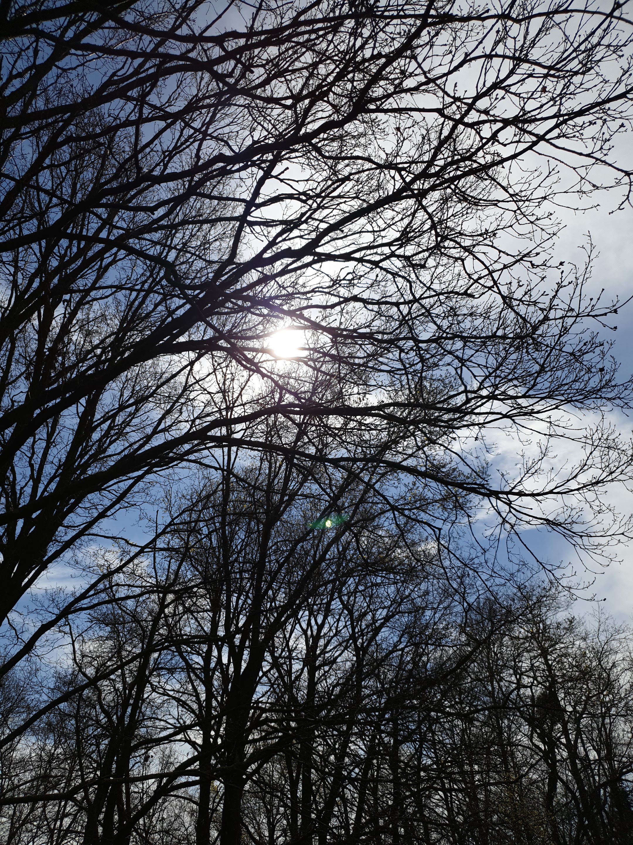 Photo n° 10 de l'avis de Malika.. fait le 30/03/2019 à 12:57