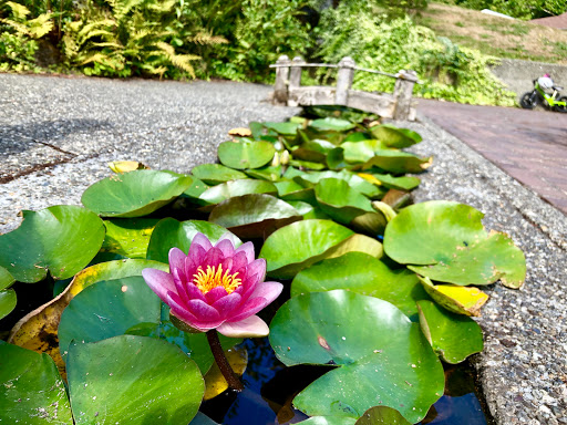 Wedding Venue «Kingston House Weddings & Events», reviews and photos, 25300 Miller Bay Rd NE, Kingston, WA 98346, USA