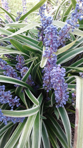 Hyundai Dealer «Tysinger Hyundai», reviews and photos, 2712 Magruder Blvd C, Hampton, VA 23666, USA