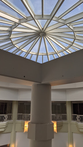 Art Gallery «David Castillo Gallery», reviews and photos, 420 Lincoln Rd, Miami Beach, FL 33139, USA