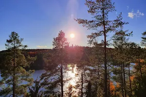 Sibelius Forest image