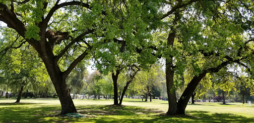 Golf Club «Sherwood Forest Golf Club», reviews and photos, 79 N Frankwood Ave, Sanger, CA 93657, USA