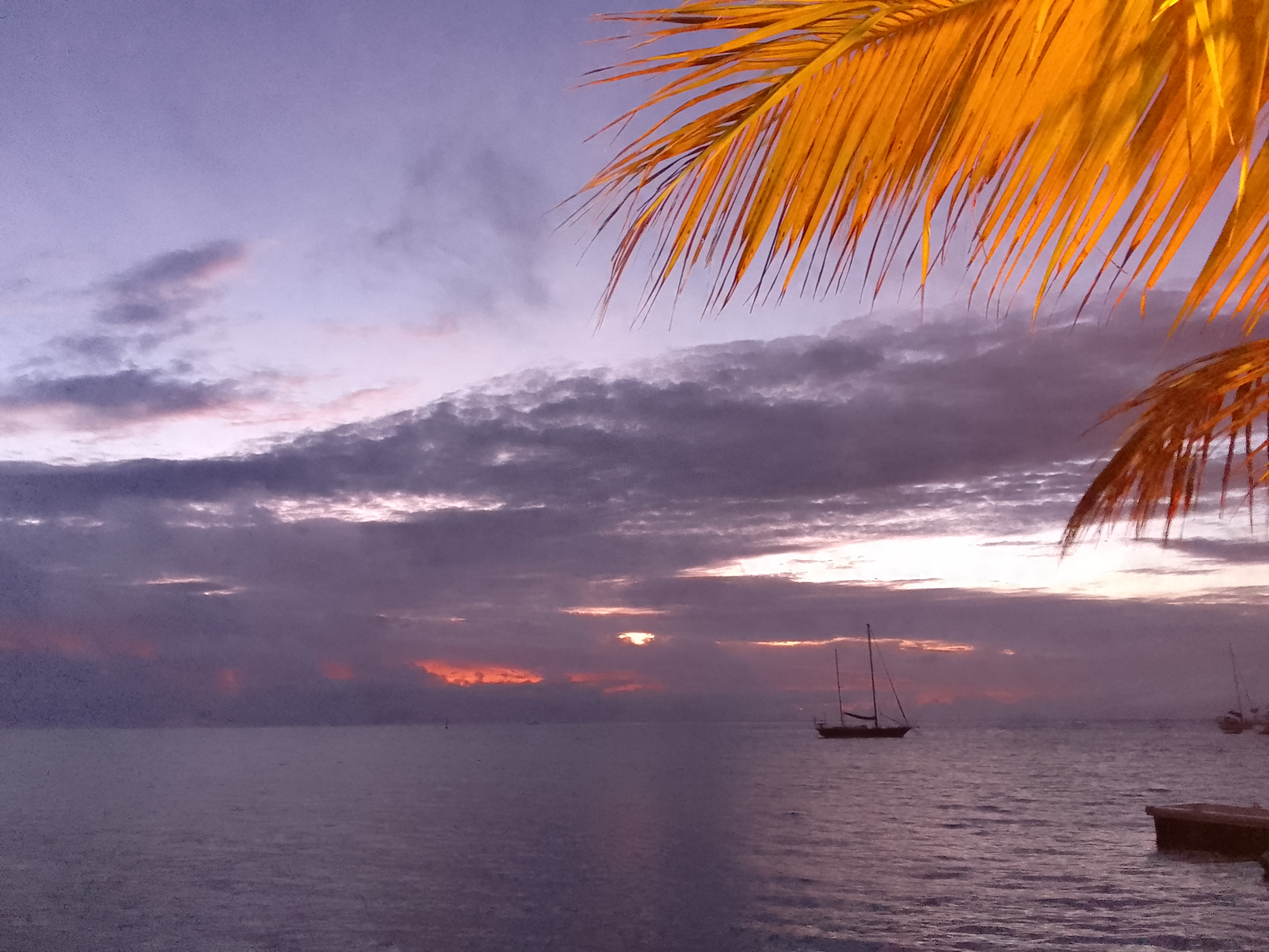 Photo n° 9 de l'avis de Virginie.t fait le 04/12/2022 à 17:46