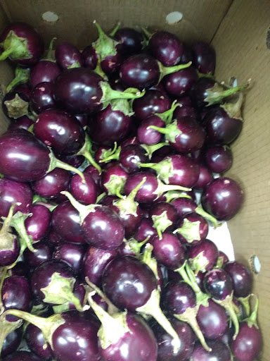 Indian Grocery Store «House of Spices Indian Store», reviews and photos, 9841 Bernwood Pl Dr, Fort Myers, FL 33966, USA