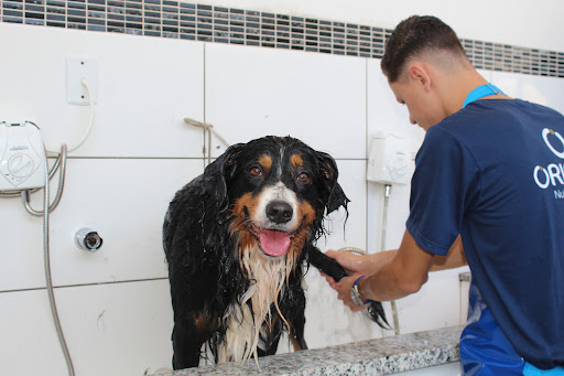 Clã Dos Bichos em Embu das Artes - SP