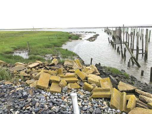 Nature Preserve «DuPont Nature Center», reviews and photos, 2992 Lighthouse Rd, Milford, DE 19963, USA