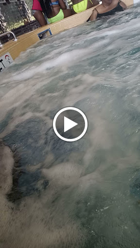 Aquatic Centre «North Arundel Aquatic Center», reviews and photos, 7888 Crain Hwy, Glen Burnie, MD 21061, USA