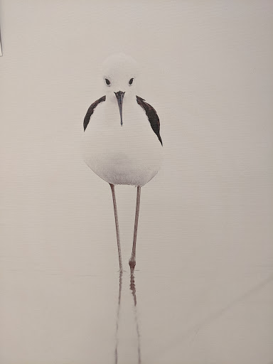 Supermarket «Big Y», reviews and photos, 441 N Main St, East Longmeadow, MA 01028, USA