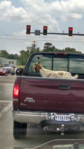 Used Car Dealer «Eagle Eye Auto Sales», reviews and photos, 15840 Florida Blvd, Baton Rouge, LA 70819, USA