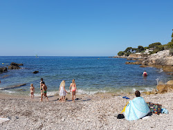 Parc du Cannet'in fotoğrafı ve yerleşim
