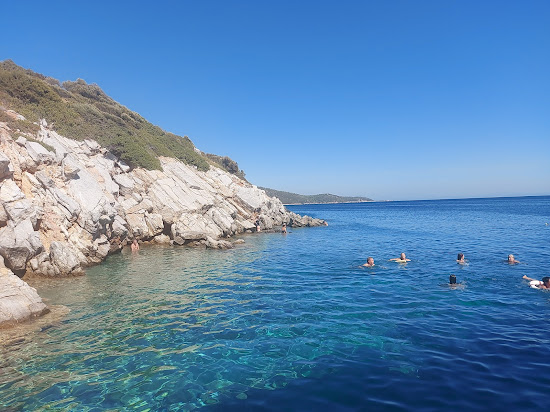 Orak Island Bay