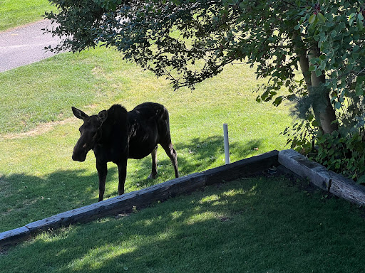 Private Golf Course «Jeremy Ranch Golf & Country Club», reviews and photos, 8770 Jeremy Rd, Park City, UT 84098, USA