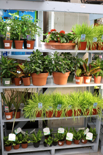 Hardware Store «Tenleytown Ace Hardware», reviews and photos, 4500 Wisconsin Ave NW, Washington, DC 20016, USA