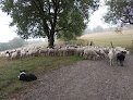 Ferme de Cumminges Élevage ovin Prayols