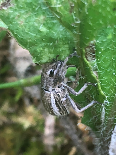 Park «Patawomeck Park», reviews and photos, 25 Chopawamsic Pkwy, Stafford, VA 22554, USA