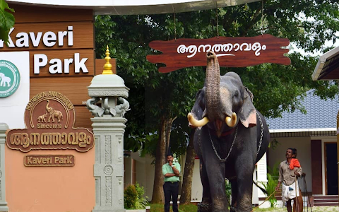 Kaveri Elephant Park image
