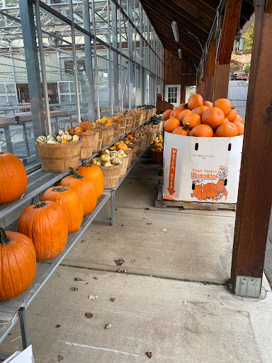 Produce Market «E Draghi & Son Farm Stand», reviews and photos, 86 Main St, South Glastonbury, CT 06073, USA