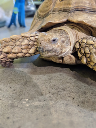 Pet Store «Critter Cabana - Wilsonville», reviews and photos, 8406 SW Main St #200, Wilsonville, OR 97070, USA