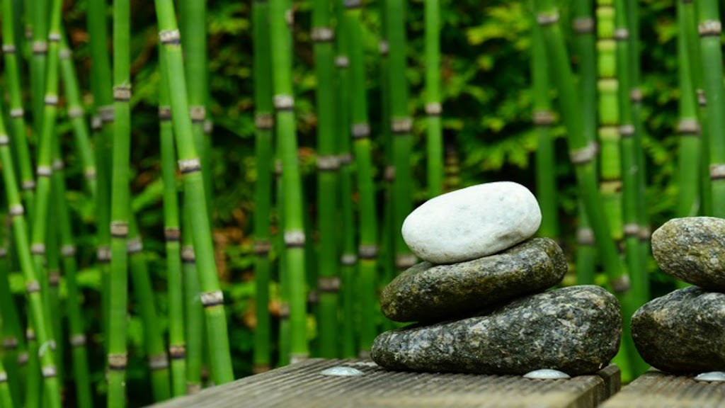 Bamboo Creek Spa 92807