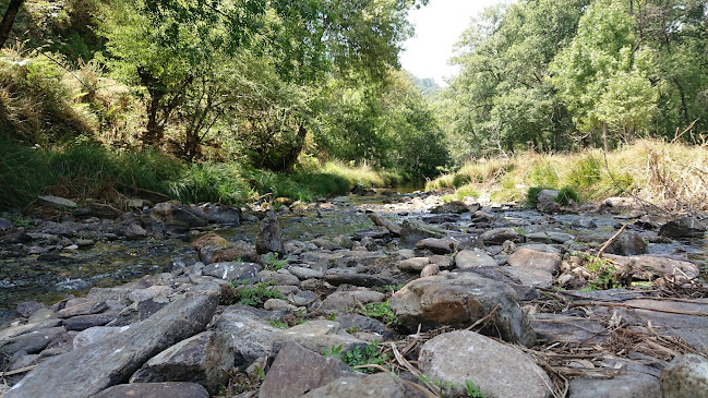 Sociedade Agrícola Pedra da Fraga, Lda