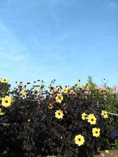 Country Club «Mulberry Hills Country Club», reviews and photos, 3530 Noble Rd, Oxford, MI 48370, USA