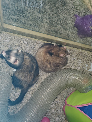 Pet Supply Store «Pet Supermarket, Inc.», reviews and photos, 3911 Lemmon Ave, Dallas, TX 75219, USA