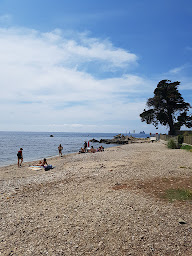 Photo n°22 de Les Pins Parasols à La Seyne-sur-Mer ()