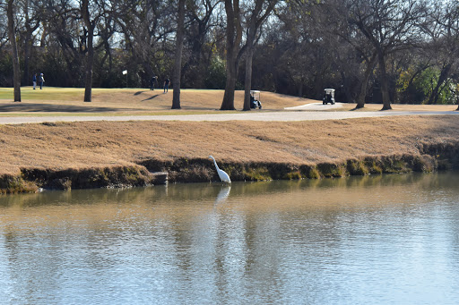 Public Golf Course «Iron Horse Golf Course», reviews and photos, 6200 Skylark Cir, North Richland Hills, TX 76180, USA