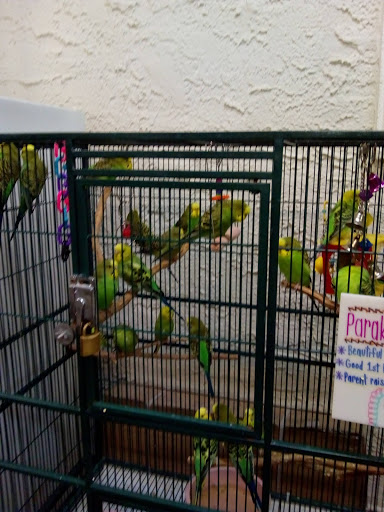 Bird Shop «The Aviary at Cauley Square», reviews and photos, 22400 Old Dixie Hwy, Miami, FL 33170, USA