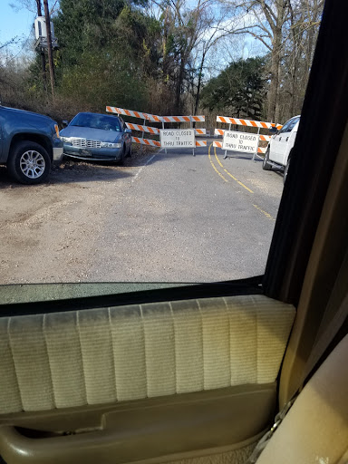 Tourist Attraction «Swamp Tours», reviews and photos, 35019 Alligator Bayou Rd, Prairieville, LA 70769, USA