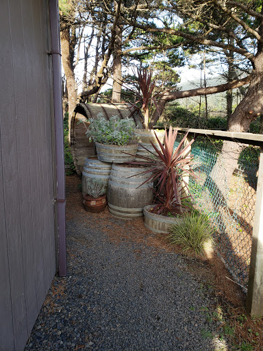 Winery «Flying Dutchman Winery», reviews and photos, 915 1st St, Otter Rock, OR 97369, USA
