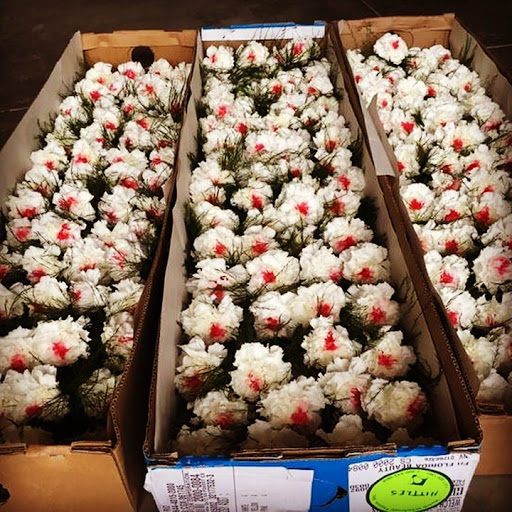 Florist «Hittle Floral Design», reviews and photos, 2049 E 226th St, Cicero, IN 46034, USA