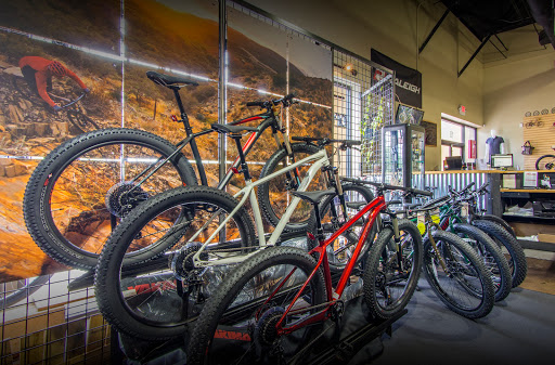 Bicycle Store «Global Bikes - Chandler North», reviews and photos, 2915 W Ray Rd, Chandler, AZ 85224, USA
