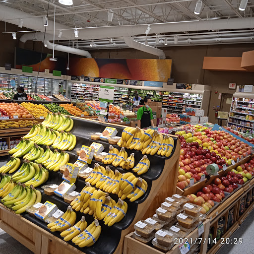 Supermarket «Publix Super Market at Berry Town Center», reviews and photos, 2424 Sand Mine Rd, Davenport, FL 33897, USA