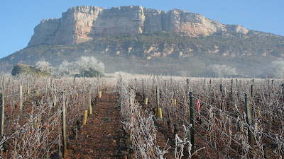 Domaine Carrette à Vergisson