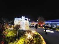 Skylawn - Photo 8 - Car repair in Houston, TX, Houston