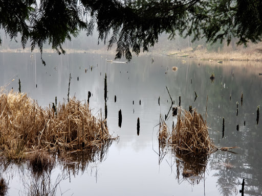 Park «Lord Hill Park», reviews and photos, 12921 150th St SE, Snohomish, WA 98290, USA