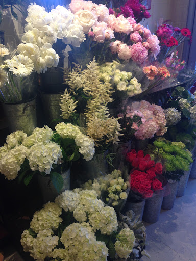 Gourmet Grocery Store «Metropolitan Market Magnolia», reviews and photos, 3830 34th Ave W, Seattle, WA 98199, USA