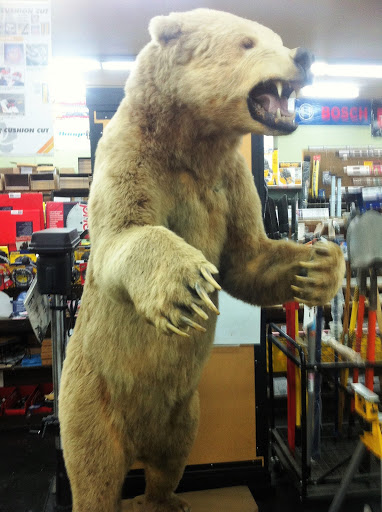 Hardware Store «PENSACOLA HARDWARE COMPANY», reviews and photos, 20 E Gregory St, Pensacola, FL 32502, USA