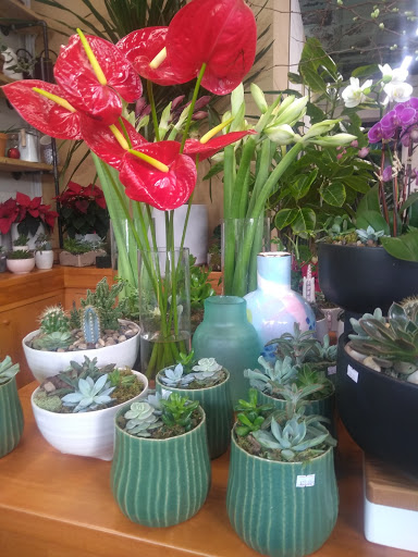 Florist «Englewood Florist, Inc.», reviews and photos, 47 E Palisade Ave, Englewood, NJ 07631, USA