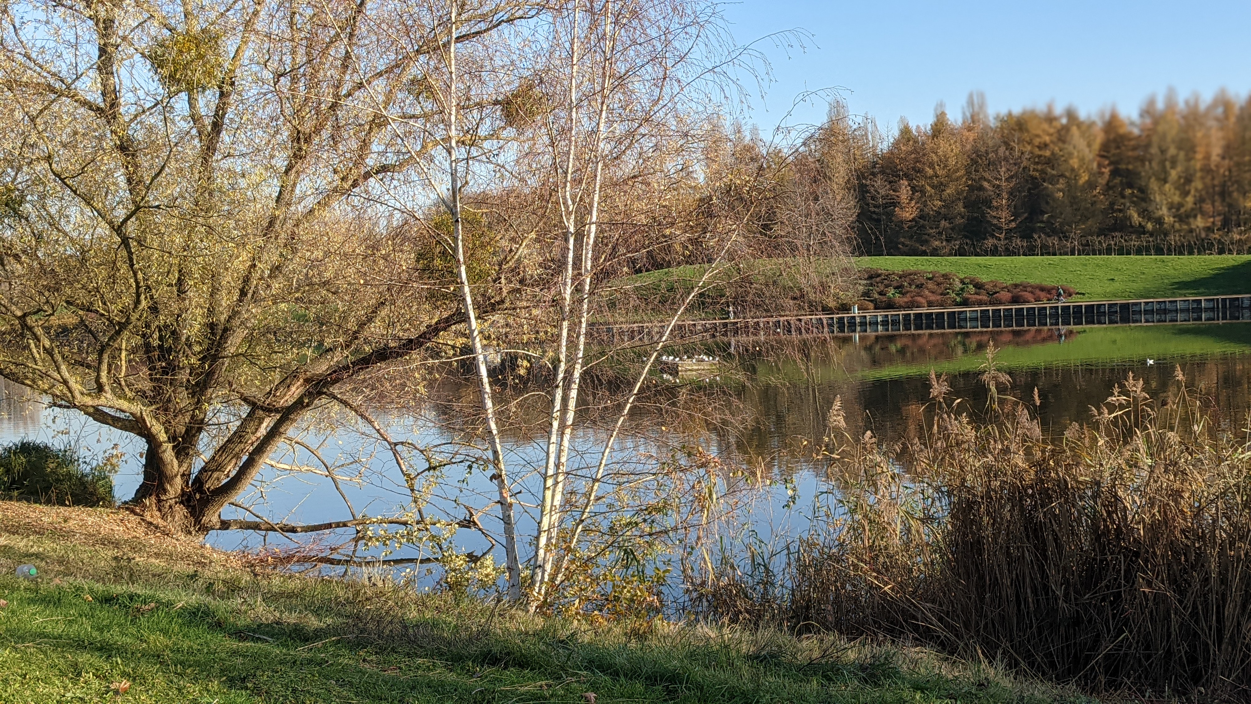 Photo n° 1 de l'avis de Michel.a fait le 23/04/2021 à 07:16
