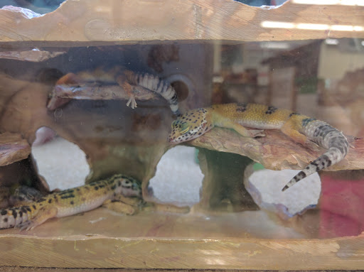 Pet Supply Store «Petco Animal Supplies», reviews and photos, 675 Deis Dr i, Fairfield, OH 45014, USA